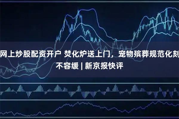 网上炒股配资开户 焚化炉送上门，宠物殡葬规范化刻不容缓 | 新京报快评